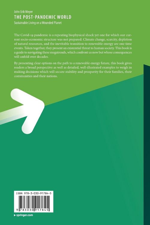Produktbild: The Post-Pandemic World