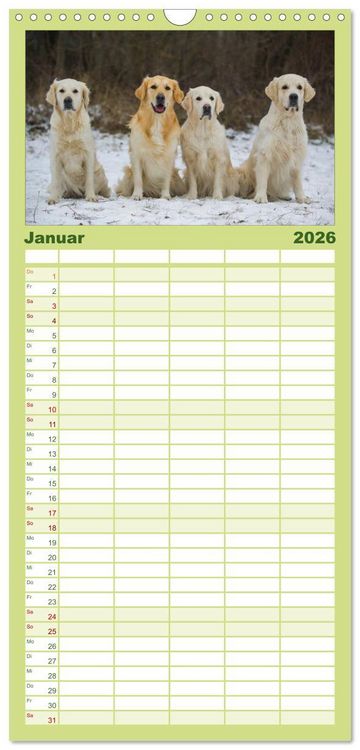 Produktbild: Familienplaner 2026 - Golden Retriever - Ein Herz auf 4 Pfoten mit 5 Spalten (Wandkalender, 21 x 45 cm) CALVENDO
