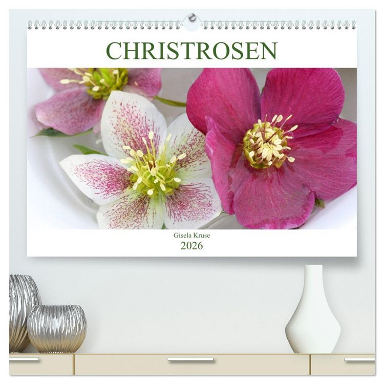 Produktbild: Christrosen (hochwertiger Premium Wandkalender 2026 DIN A2 quer), Kunstdruck in Hochglanz