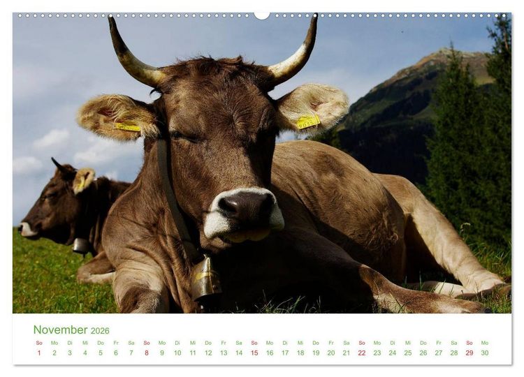 Produktbild: Bergwelt in &Ouml;sterreich (Wandkalender 2026 DIN A2 quer), CALVENDO Monatskalender