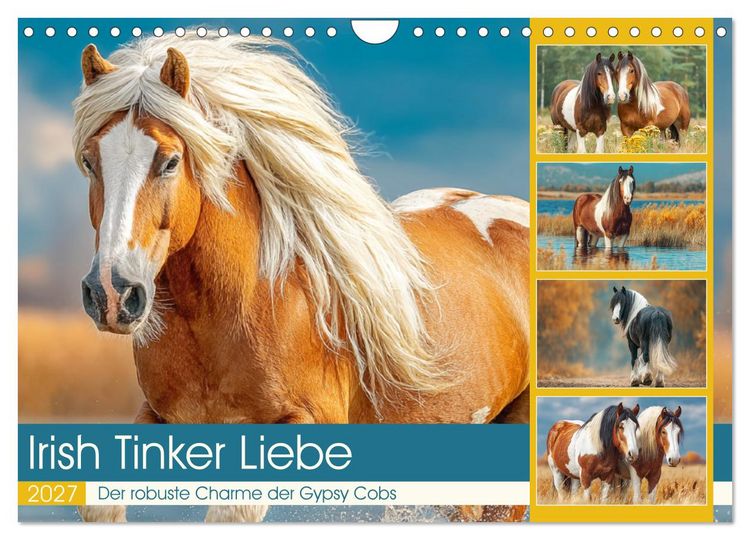 Produktbild: Irish Tinker Liebe. Der robuste Charme der Gypsy Cobs (Wandkalender 2027 DIN A4 quer), CALVENDO Monatskalender