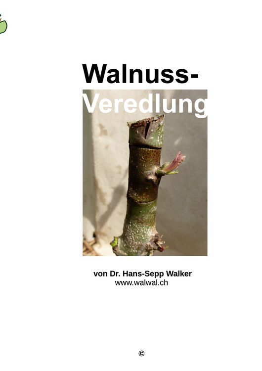 Produktbild: Walnuss-Veredlung
