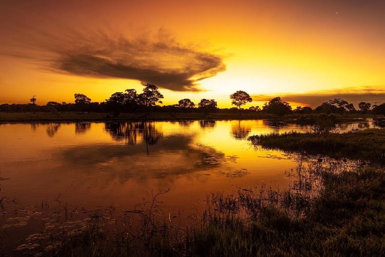 Produktbild: Pantanal