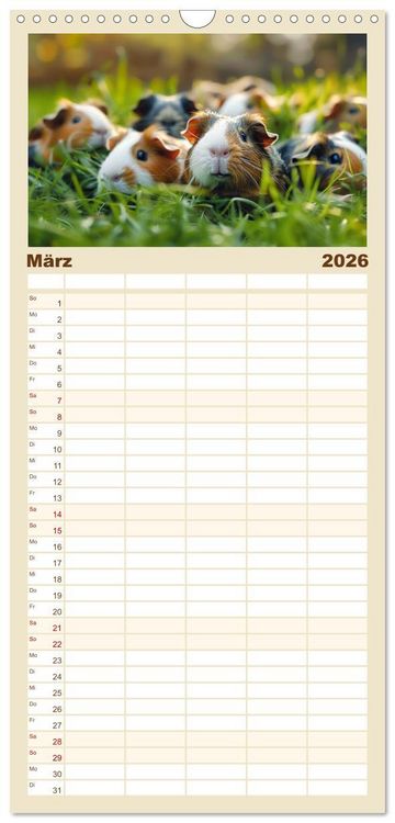 Produktbild: Familienplaner 2026 - Wuschelbande - Ein Jahr voller Meerschweinchen mit 5 Spalten (Wandkalender, 21 x 45 cm) CALVENDO