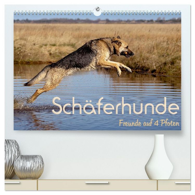 Produktbild: Sch&auml;ferhunde - Freunde auf 4 Pfoten (hochwertiger Premium Wandkalender 2026 DIN A2 quer), Kunstdruck in Hochglanz