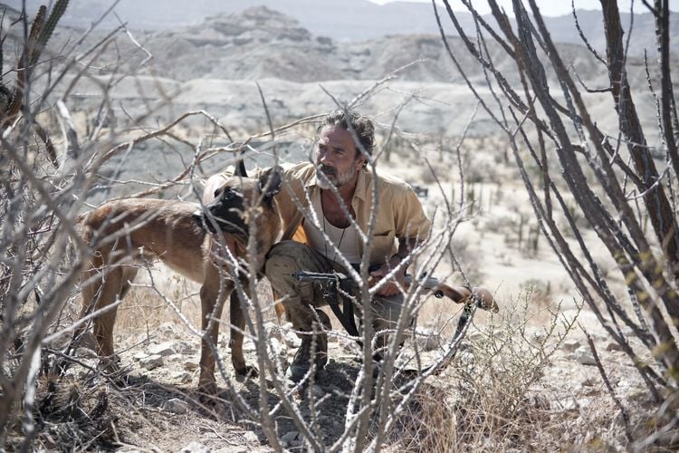 Produktbild: Desierto - T&ouml;dliche Hetzjagd