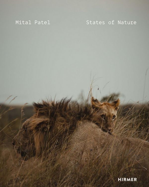 Produktbild: Mital Patel