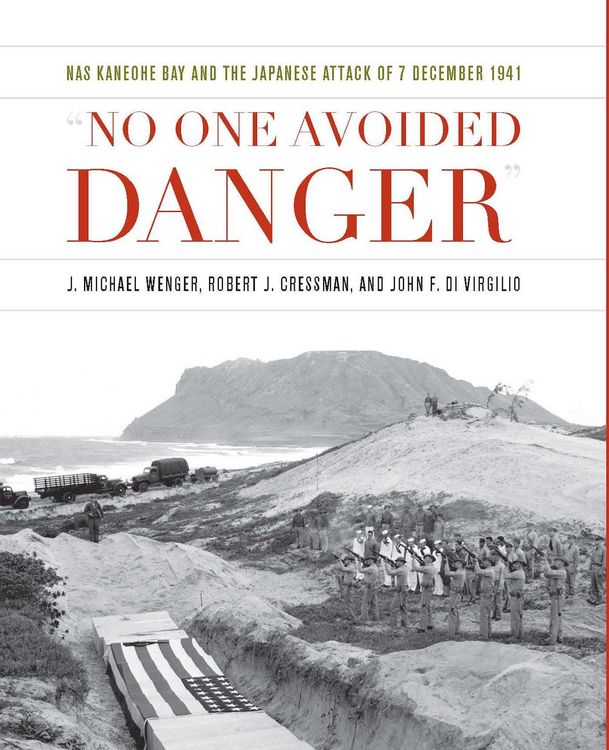 Produktbild: No One Avoided Danger