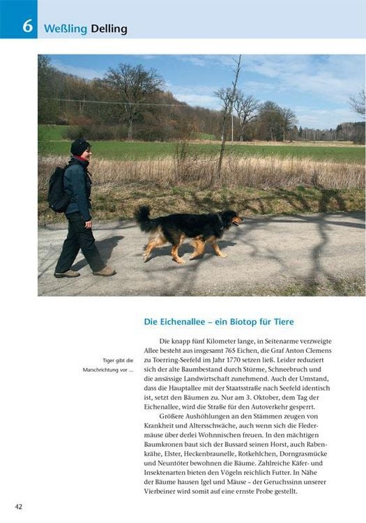 Produktbild: Die sch&ouml;nsten Wanderungen mit Hunden