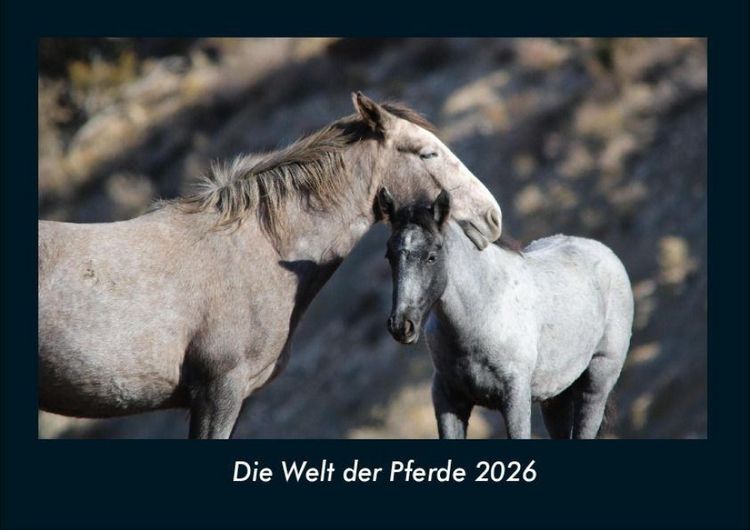 Produktbild: Die Welt der Pferde 2026 Fotokalender DIN A4