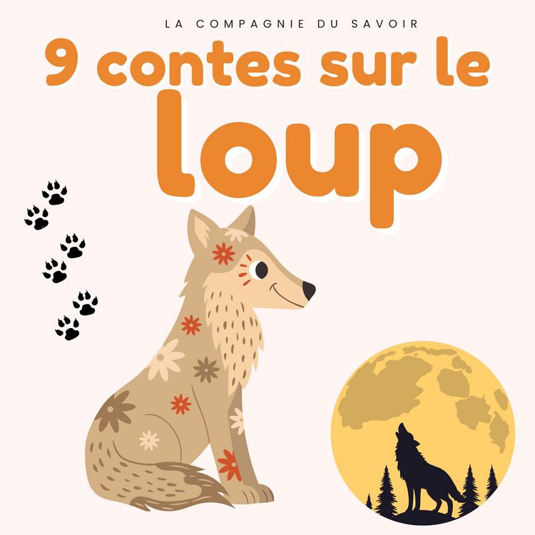 Produktbild: 9 contes sur le loup