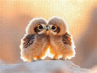 Produktbild: CALVENDO Puzzle Ein Motiv aus dem Kalender Geheimnisvolle Wildnis | 1000 Teile Lege-Gr&ouml;&szlig;e 64x48cm Foto-Puzzle f&uuml;r gl&uuml;ckliche Stunden