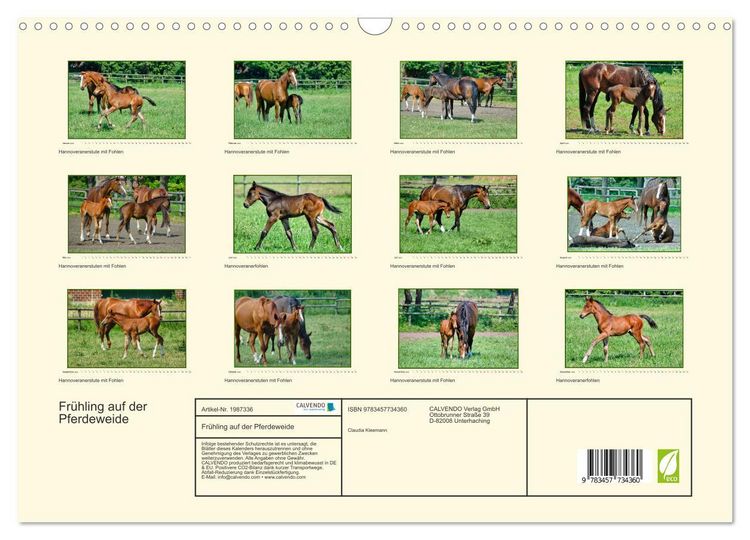 Produktbild: Fr&uuml;hling auf der Pferdeweide (Wandkalender 2026 DIN A3 quer), CALVENDO Monatskalender