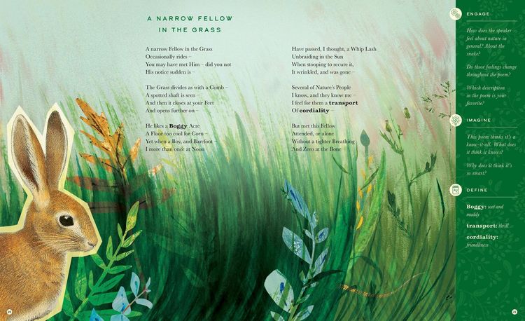 Produktbild: The Illustrated Emily Dickinson