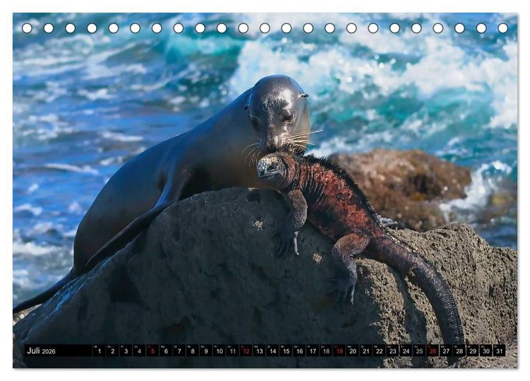Produktbild: Galapagos Archipel- Faszination Tierwelt (Tischkalender 2026 DIN A5 quer), CALVENDO Monatskalender