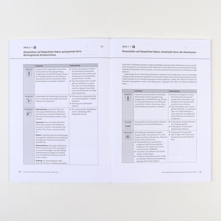 Produktbild: Therapie-Tools Dissoziation