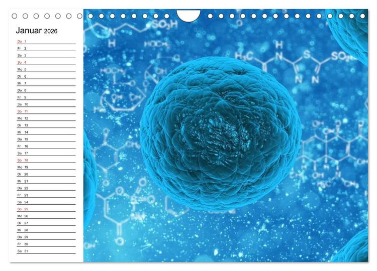 Produktbild: Mikrobiologie. Mikroorganismen, Genetik und Zellen (Wandkalender 2026 DIN A4 quer), CALVENDO Monatskalender