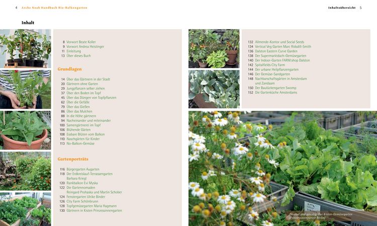 Produktbild: Handbuch Bio-Balkongarten