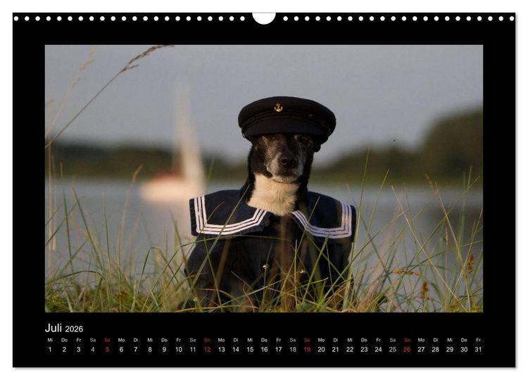 Produktbild: Jack Russell Terrier.....Ein Verwandlungsk&uuml;nstler namens Jake (Wandkalender 2026 DIN A3 quer), CALVENDO Monatskalender