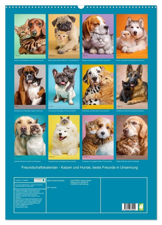 Produktbild: Freundschaftskalender - Katzen und Hunde, beste Freunde in Umarmung (Wandkalender 2026 DIN A2 hoch), CALVENDO Monatskalender