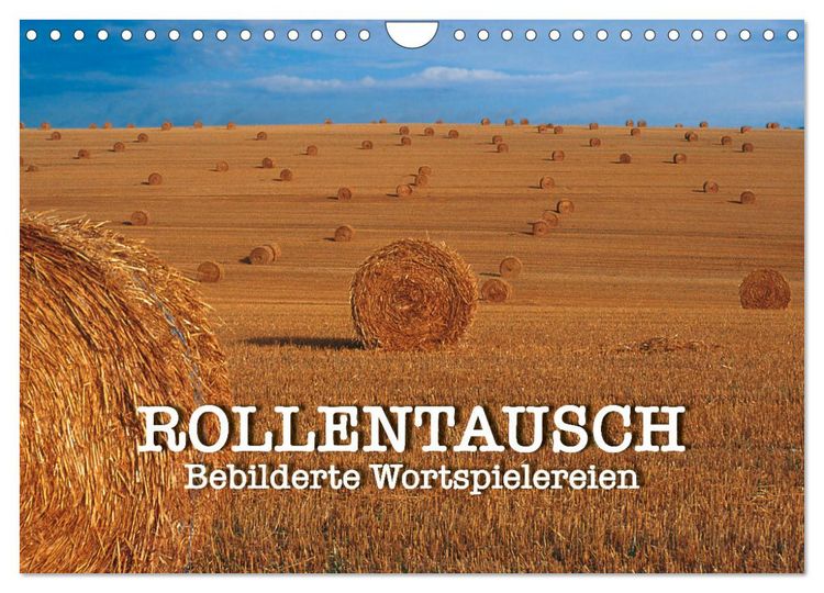 Produktbild: Rollentausch &ndash; Bebilderte Wortspielereien (Wandkalender 2026 DIN A4 quer), CALVENDO Monatskalender