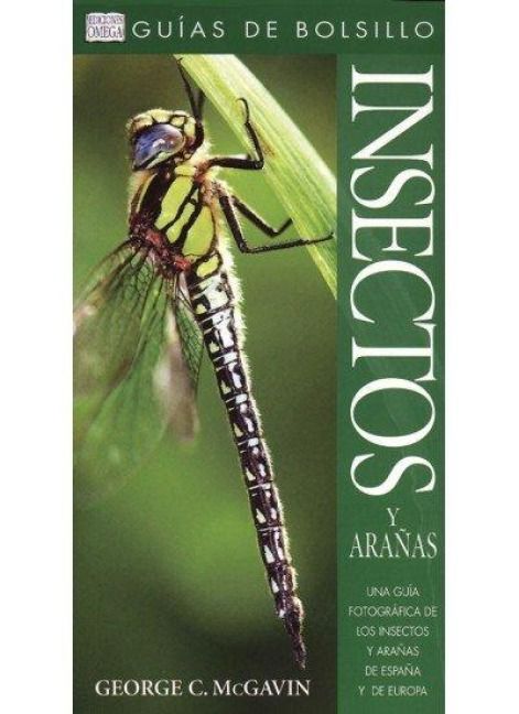 Produktbild: Insectos y ara&ntilde;as : gu&iacute;as de bolsillo