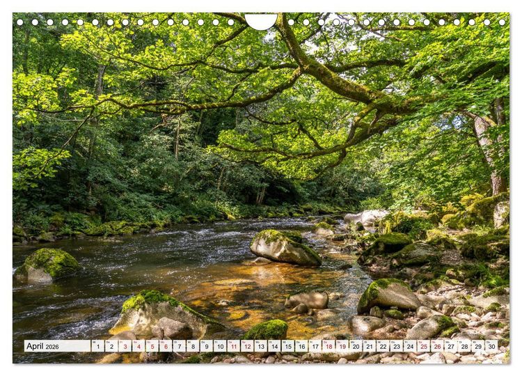 Produktbild: Urlaubsregion Schwarzwald (Wandkalender 2026 DIN A4 quer), CALVENDO Monatskalender