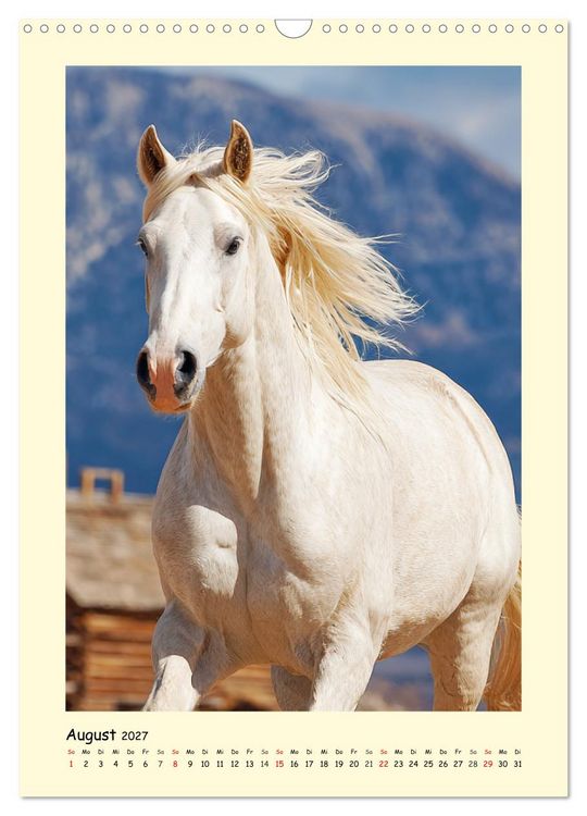Produktbild: Westernpferde. Quarter Horse und Paint Horse auf dem Farmland (Wandkalender 2027 DIN A3 hoch), CALVENDO Monatskalender