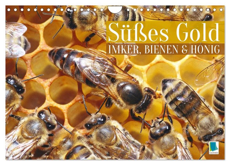 Produktbild: S&uuml;&szlig;es Gold: Imker, Bienen & Honig (Wandkalender 2026 DIN A4 quer), CALVENDO Monatskalender