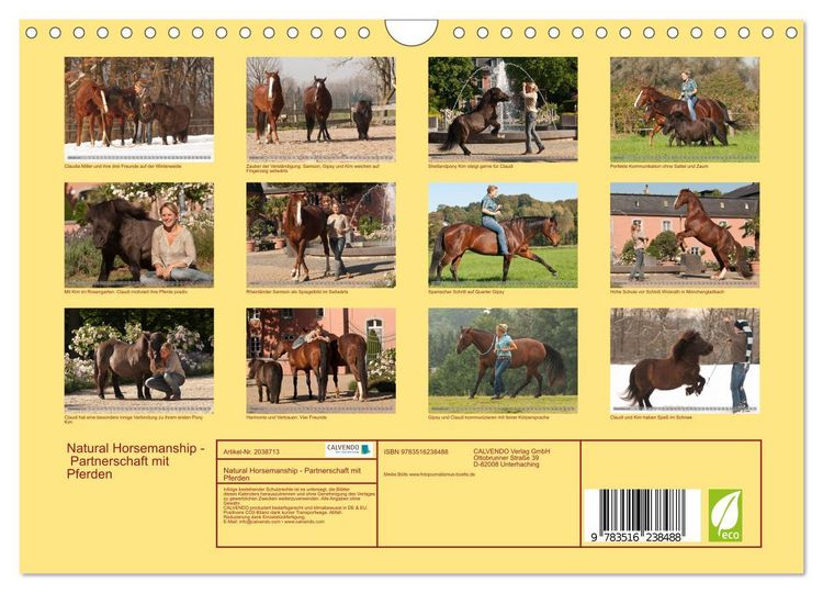 Produktbild: Natural Horsemanship - Partnerschaft mit Pferden (Wandkalender 2026 DIN A4 quer), CALVENDO Monatskalender