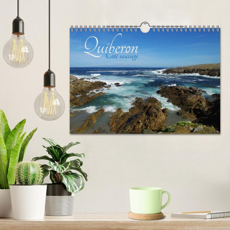 Produktbild: Quiberon C&ocirc;t&eacute; sauvage (Calendrier mural 2026 DIN A4 vertical), CALVENDO calendrier mensuel