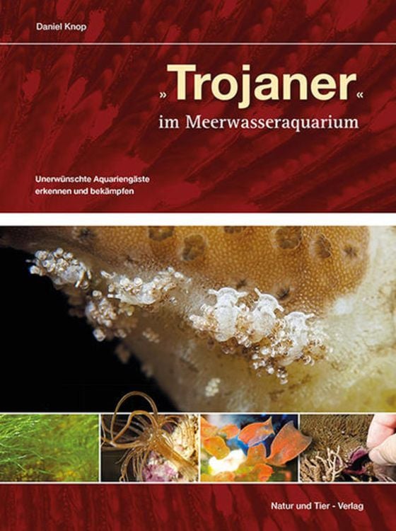 Produktbild: Trojaner im Meerwasseraquarium