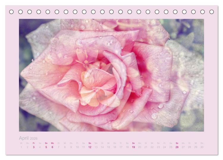 Produktbild: Romantische Rosen (Tischkalender 2026 DIN A5 quer), CALVENDO Monatskalender