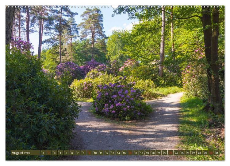 Produktbild: Parkgemeinde Kromlau (Wandkalender 2026 DIN A2 quer), CALVENDO Monatskalender