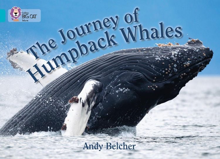 Produktbild: The Journey of Humpback Whales