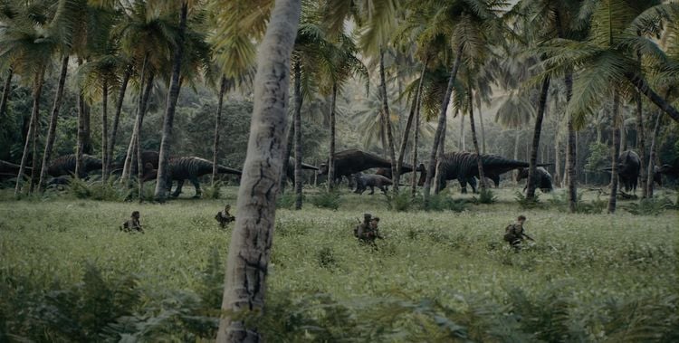 Produktbild: Primitive War