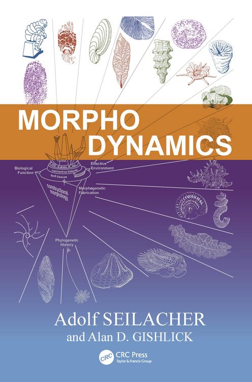 Produktbild: Morphodynamics