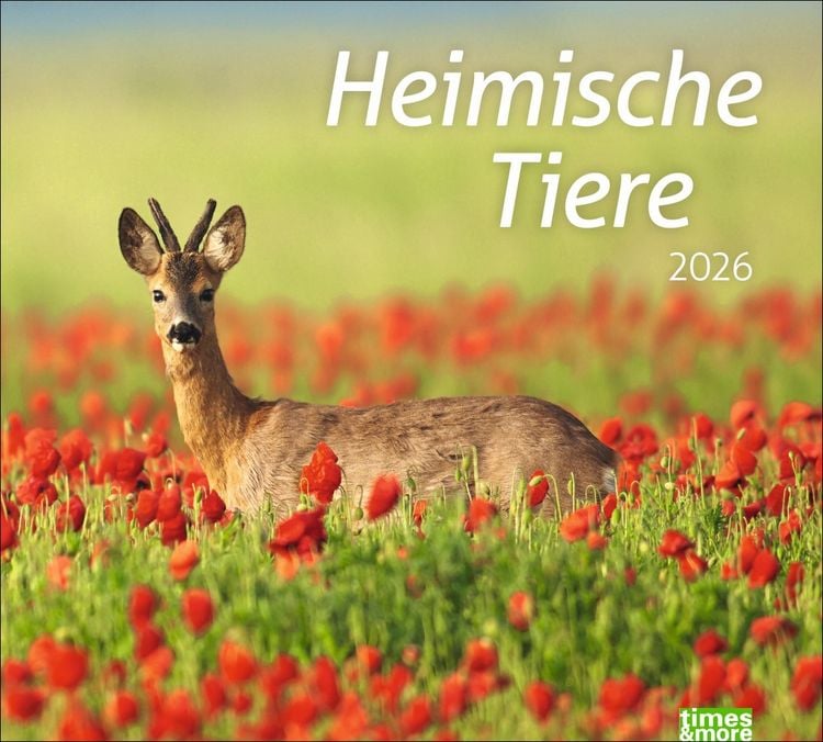 Produktbild: Times&more Heimische Tiere Bildkalender 2026