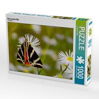 Produktbild: CALVENDO Puzzle Russischer B&auml;r 1000 Teile Lege-Gr&ouml;&szlig;e 64 x 48 cm Foto-Puzzle Bild von Ursula Di Chito