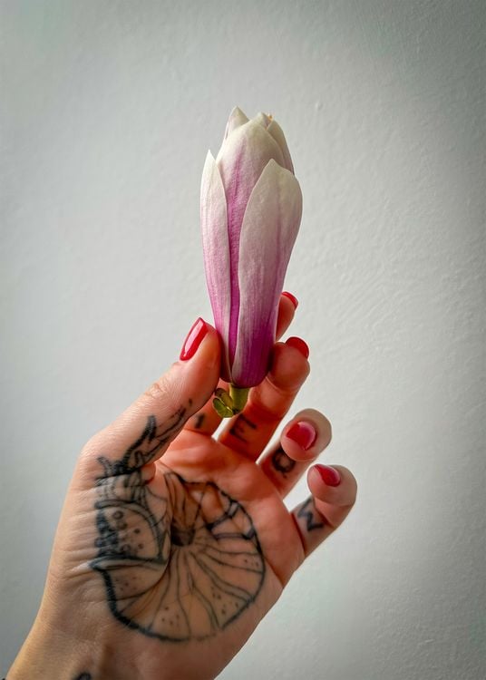 Produktbild: Flair & Flavour