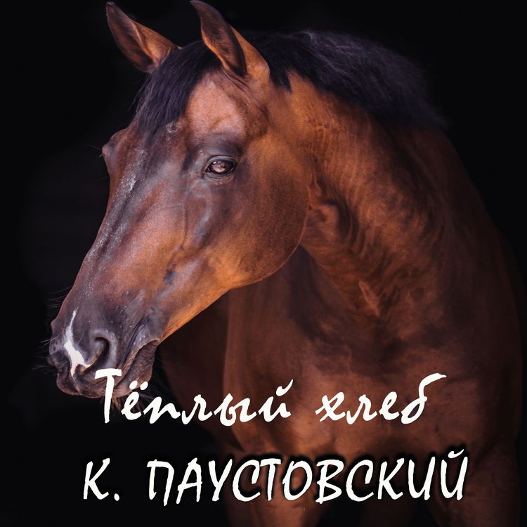 Produktbild: Teplyiy hleb