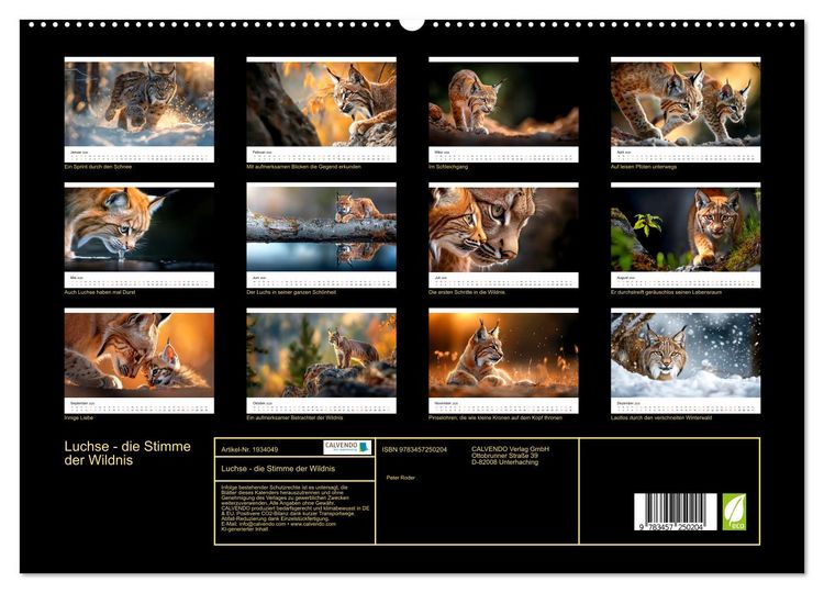 Produktbild: Luchse - die Stimme der Wildnis (hochwertiger Premium Wandkalender 2026 DIN A2 quer), Kunstdruck in Hochglanz