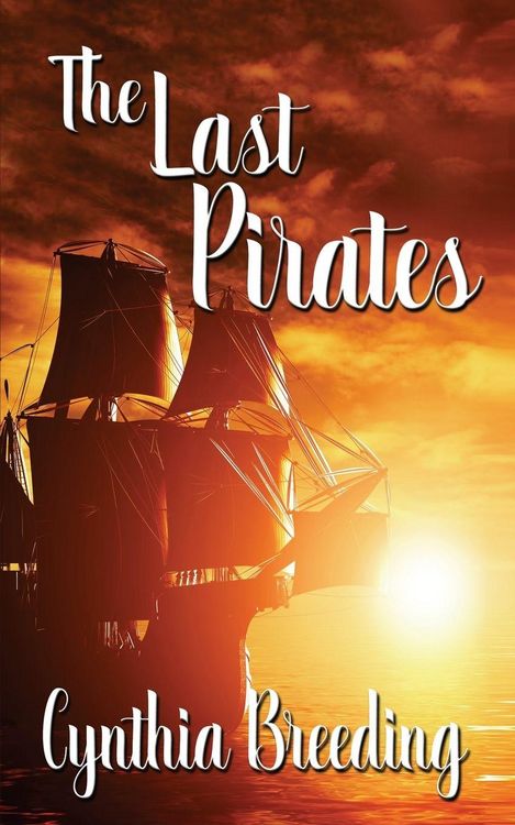 Produktbild: The Last Pirates