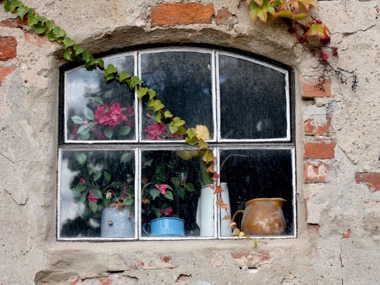 Produktbild: CALVENDO Puzzle Fenster mit Efeuranken | 1000 Teile Lege-Gr&ouml;&szlig;e 64x48cm Foto-Puzzle f&uuml;r gl&uuml;ckliche Stunden