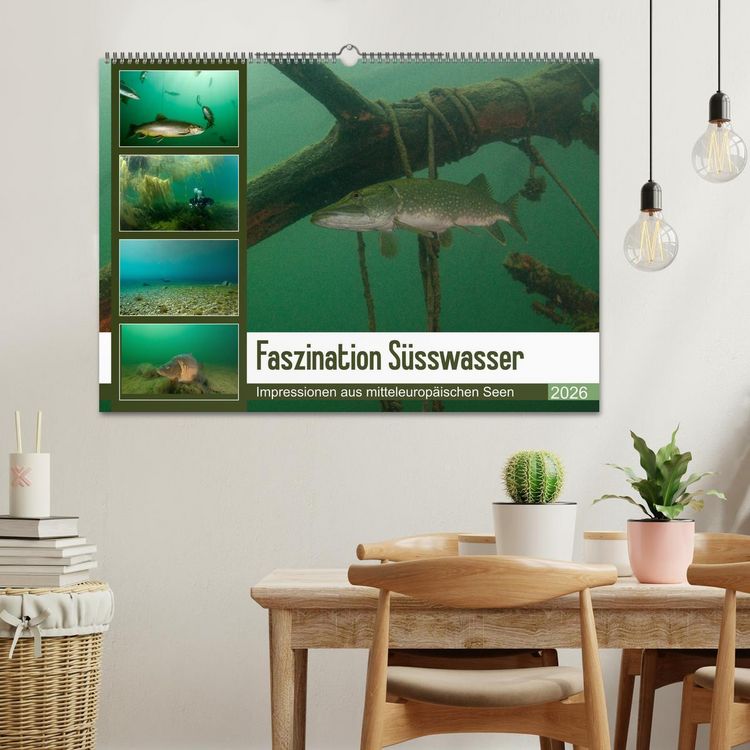 Produktbild: Faszination S&uuml;sswasser (Wandkalender 2026 DIN A2 quer), CALVENDO Monatskalender