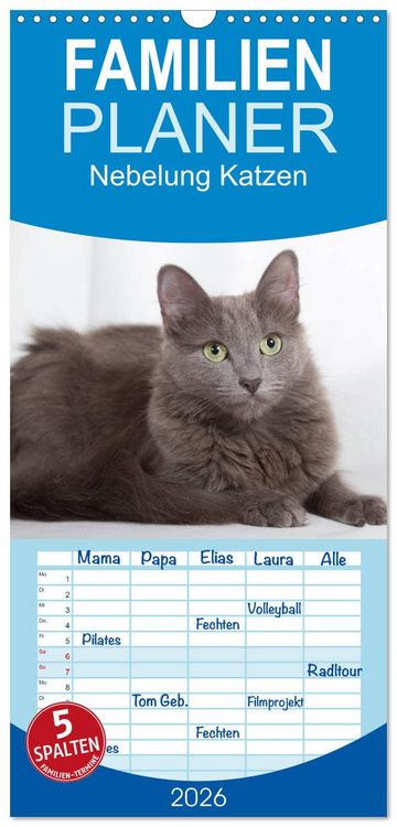 Produktbild: Familienplaner 2026 - Nebelung Katzen mit 5 Spalten (Wandkalender, 21 x 45 cm) CALVENDO