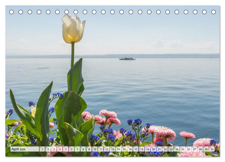 Produktbild: Traumhafter Bodensee (Tischkalender 2026 DIN A5 quer), CALVENDO Monatskalender