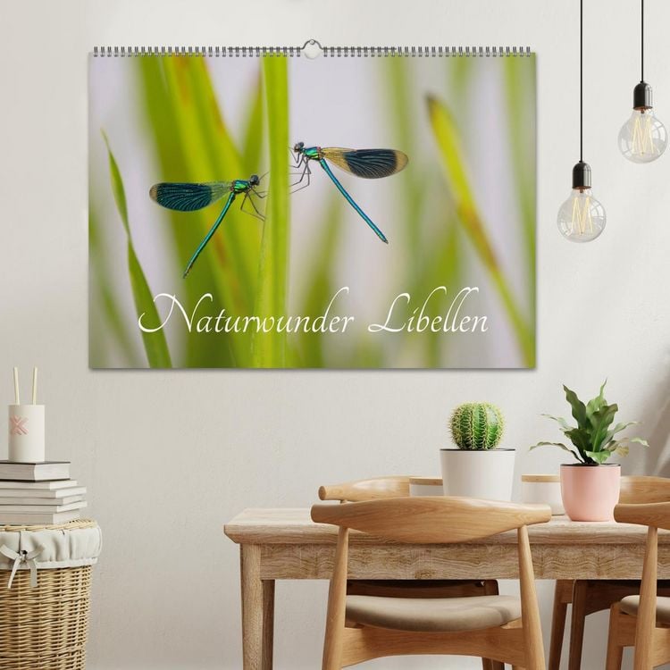 Produktbild: Naturwunder Libellen (Wandkalender 2026 DIN A2 quer), CALVENDO Monatskalender