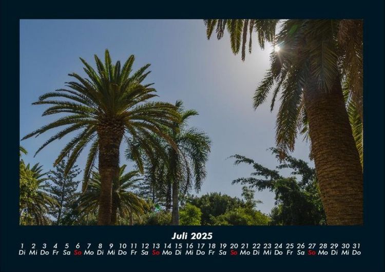 Produktbild: Bilder der Natur 2025 Fotokalender DIN A4