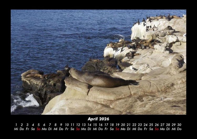 Produktbild: Seeblick 2026 Fotokalender DIN A3